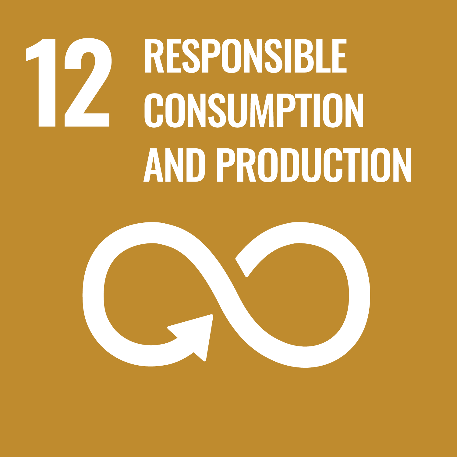 Goal 12 RESPONSIBLE CONSUMPTION AND PRODUCTION